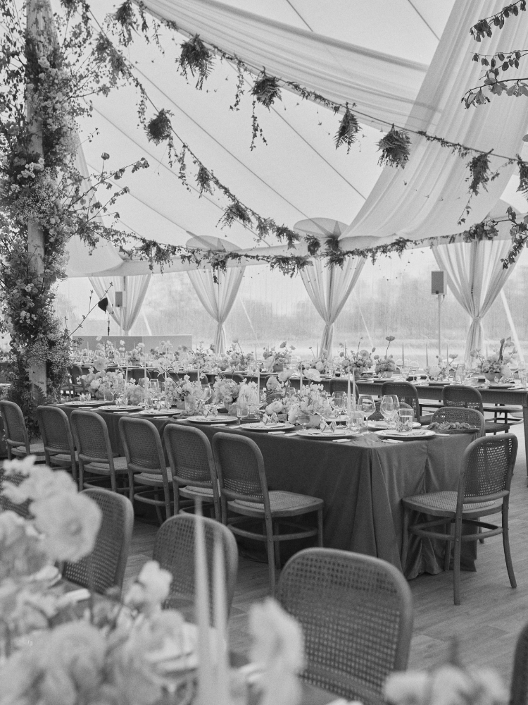 PARTIES by Natalie Hewitt Portfolio Images
